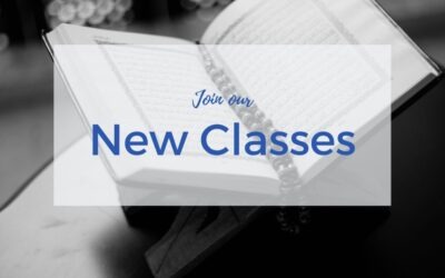 New Classes and Lectures