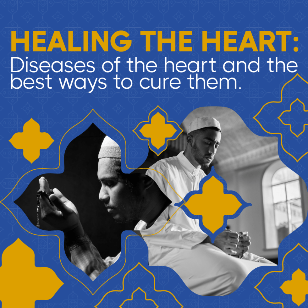 Blog: Healing the Heart – Diseases of the heart and the best ways to ...