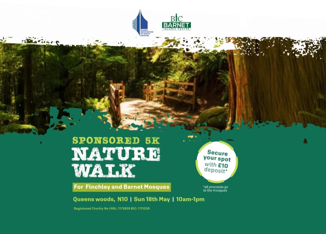 woodland walk – blog