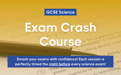Ace Your GCSEs with Our Intensive Crash Courses! (Boys and Girls)